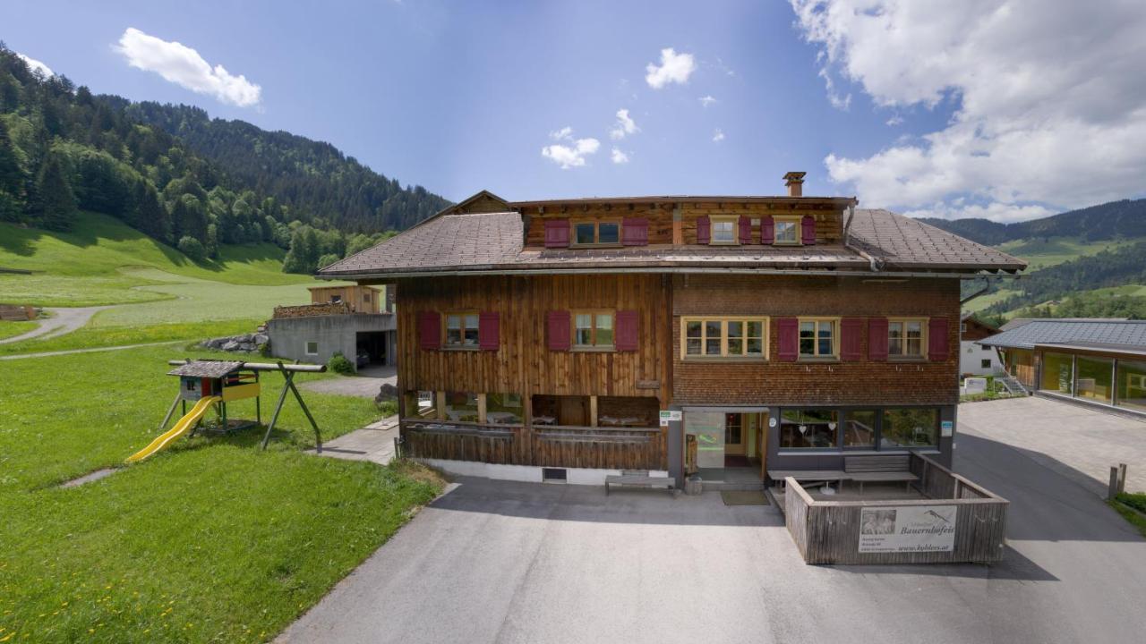 쇼페나우 Ferienbauernhof Kohler 아파트 외부 사진
